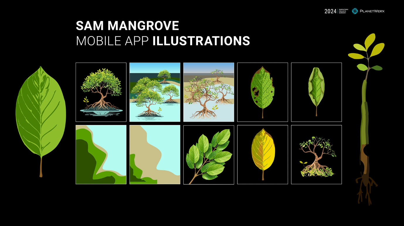 SAM Mangrove app illustration set