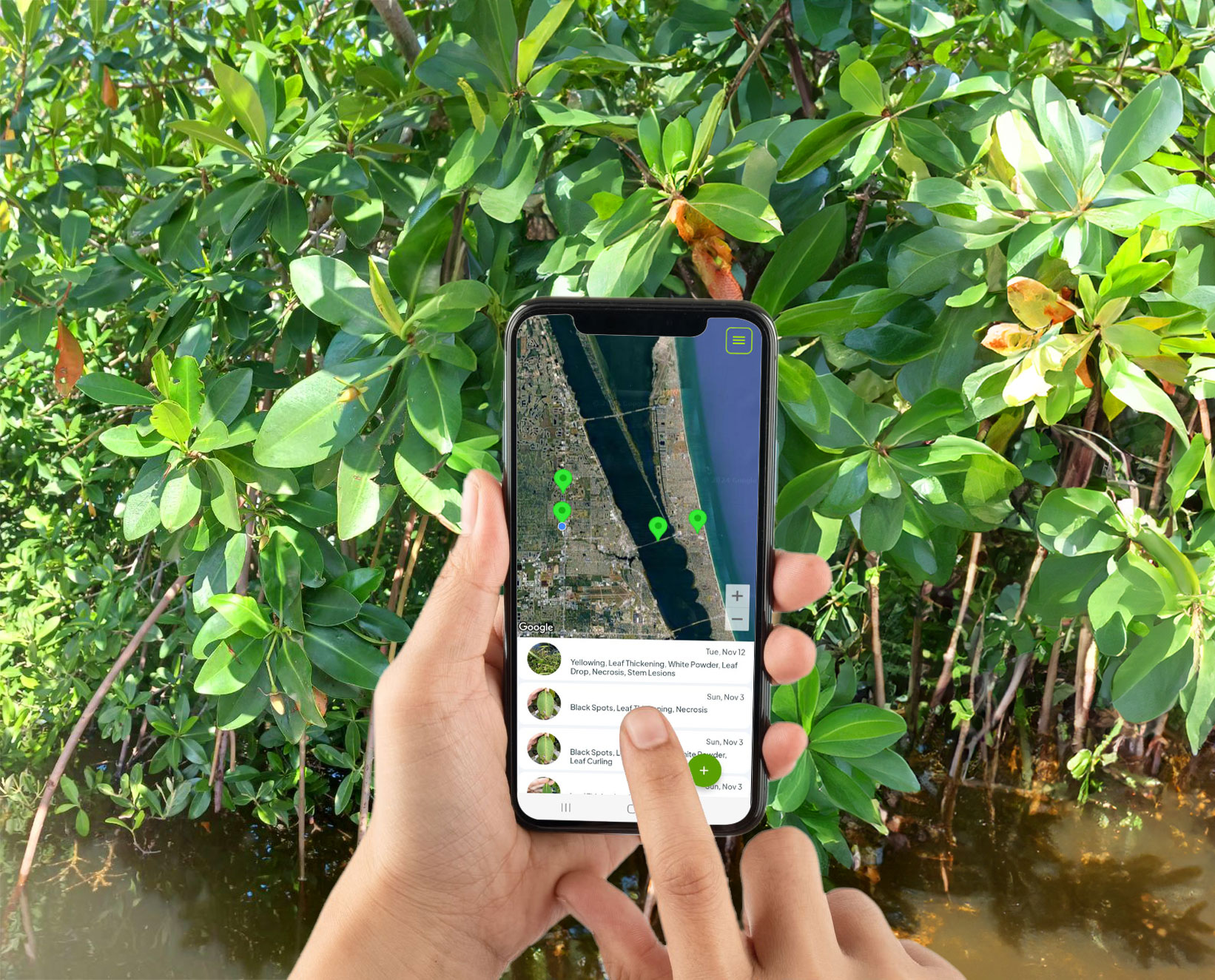 Mangrove CNP alert signage in the field, prompting passersby to scan and contribute a photo